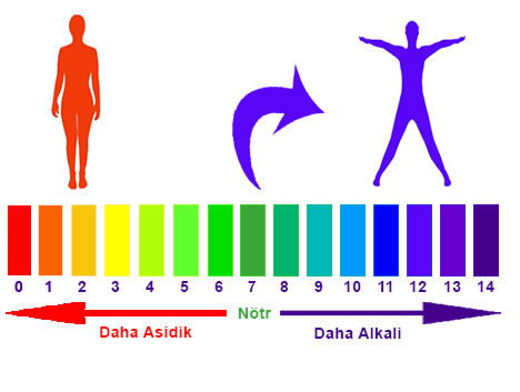 ALKALİ VÜCUT İÇİN 7 DİYET!
