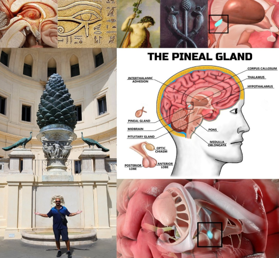 Üçüncü Göz: Epifiz Bezinin Gizemi