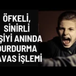 Videolar
